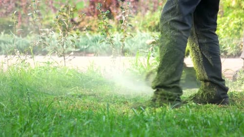Worker Cutting Grass in Garden with the Weed Trimmer.