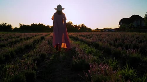 Femme heureuse en été en plein air