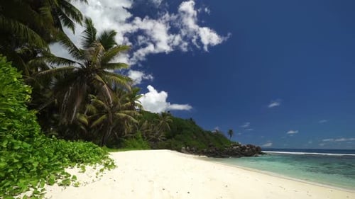 Secluded Beach