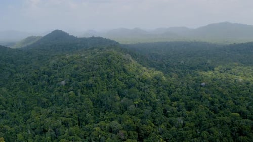 Überführung über den Amazonas-Dschungel