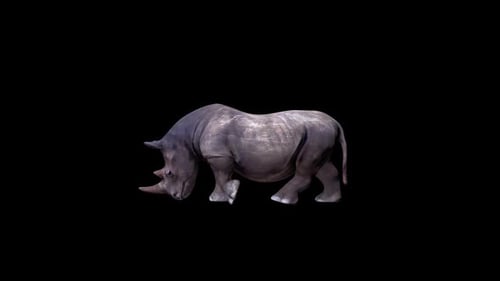 Paseo Rhino