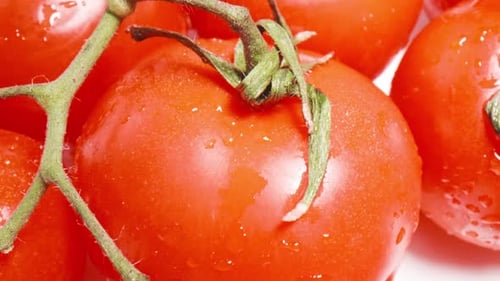 Tomatoes (2K)