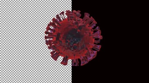Corona Virus Alpha