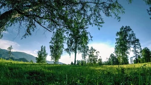Mountain Meadow Time-lapse at the Summer or Autumn Time. Wild Nature and Rural Field. Motorised