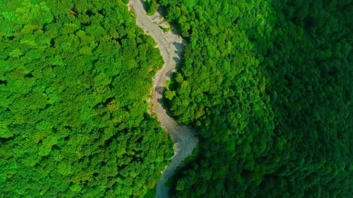 Vista aérea da estrada na floresta (2K)