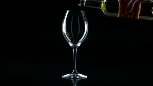 White Wine Pouring Into Glass on Black