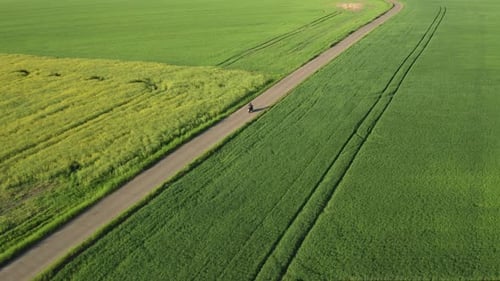 Motorcycle Rides on Rural Road Through Green Fields