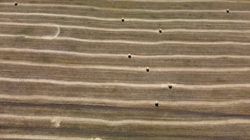 Hay Rolls on the Field Aerial View
