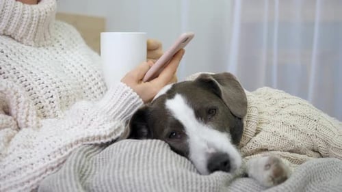 Person Relaxing Indoors with Dog and Phone