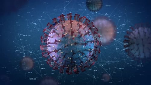 Virus