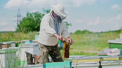 Beekeeper Inspecting Honeycomb Frame in Rural Setting