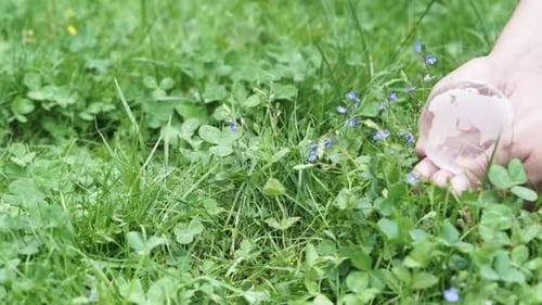 Glass Globe held in hands over lush green grass
