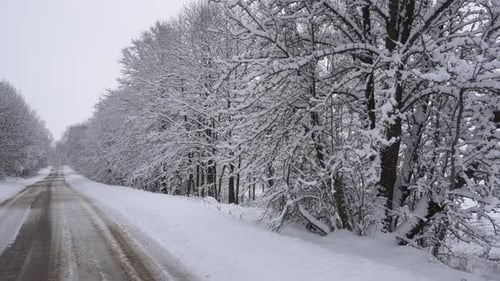 Country Road Through a Snowy Forest a Lot of Snow Trees in the Snow Country Road Winter's Tale