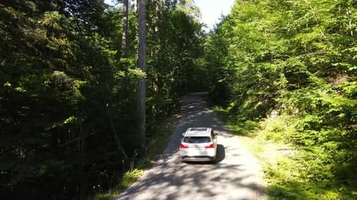 Naturel Road