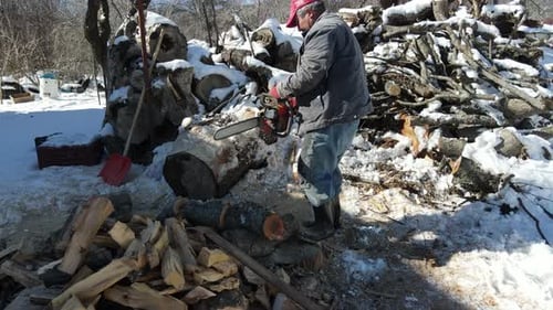 Cut Chainsaw
