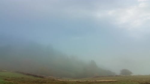 Morgennebel über dem Tal zwischen den Bergen im Sonnenlicht