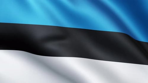 Estonian National Flag Waving Seamless Loop
