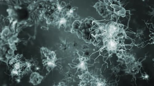 Animated Microscopic Biological Organisms and Cell Structures