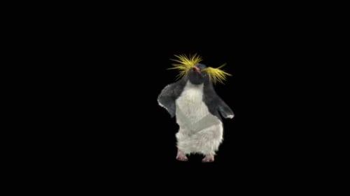 Penguin Dancing HD