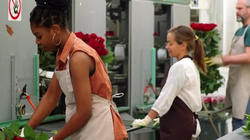African American Woman Working at Roses Factory