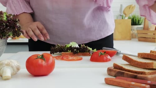 Fat woman preparing a sandwich salads for dieting weight loss. Close-up shot