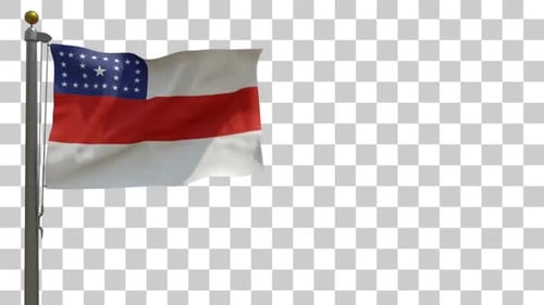 Waving Realistic Flag Alpha Channel Animation