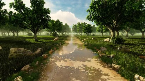 Movement In The Park After Rain