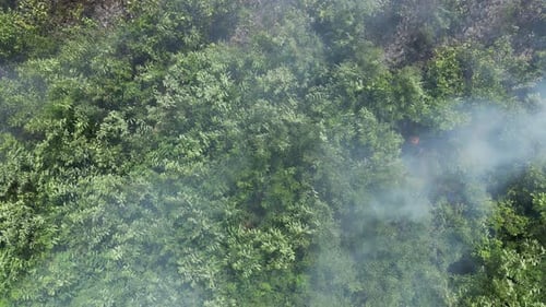 Feu de brousse vu du ciel