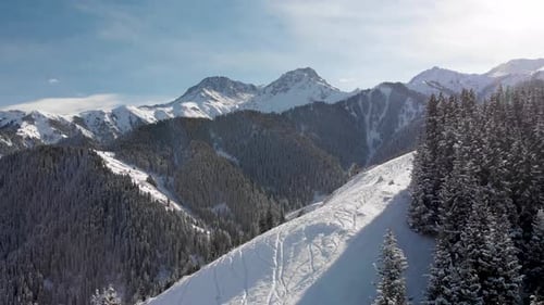 Aerial Shot of Winter Snow Forest in the Mountains
