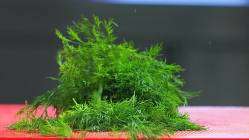Cutting Fresh Dill