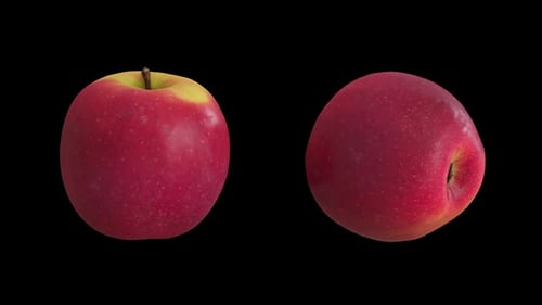 Red Yellow Apple Rotation with Alpha Channel Loop