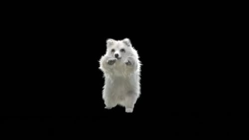 187 Bear Standing Magic Attack HD