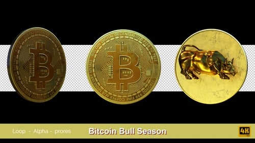 Golden Bitcoin Bull Coin Rotating Animation for Finance