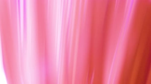 Dynamic Abstract Pink Light Rays Flowing Background