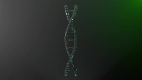 Spinning 3D DNA Double Helix Animation
