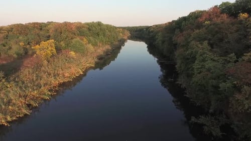 Top View of the River and the Forest. Nature Morning