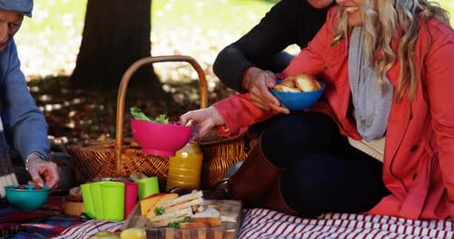 Family Enjoying Picnic in Autumn Park Setting