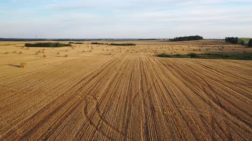 Straw Bales on Farmland with a Blue Cloudy Sky