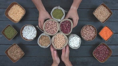 Colorful Variety of Legumes and Lentils Displayed Flatlay