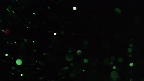 Glowing Green Specks on Dark Background