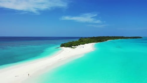 Aerial drone view scenery of tranquil bay beach wildlife by blue water with white sand background of