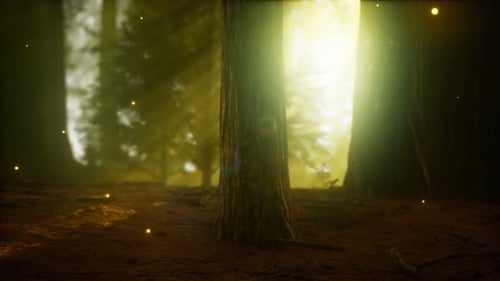 Firefly in Misty Forest with Fog