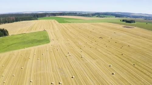 Aerial Drone Shot a Field with Hay Bales in a Rural Area on a Sunny Day