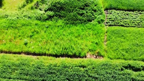Aerial drone view of a flying over the rural agricultural landscape.