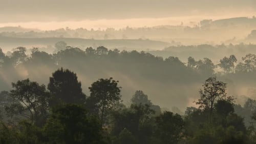 Fog Rolling Through the Mountains at Sunrise