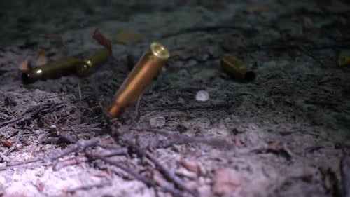Bullet casings fall to the ground. Shooting in the forest. Slow motion.