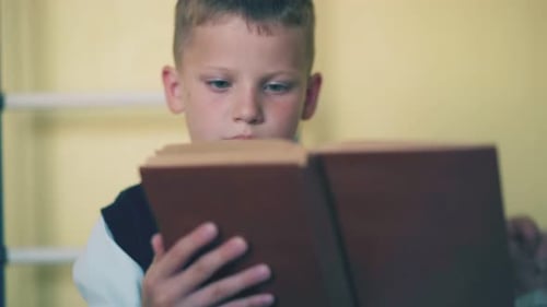 Young Boy Reading a Book Indoors