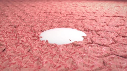 Skin Cell Regeneration and Serum Absorption Animation