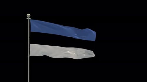 Realistic Estonia Flag Waving Animation Loop