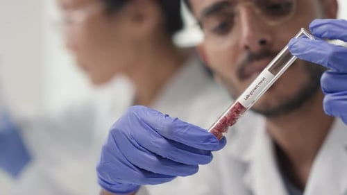 Scientist Holds Test Tube with Lab-Grown Meat